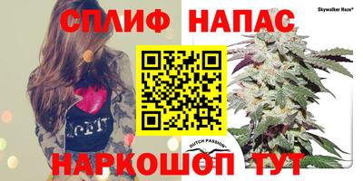 apvp Партизанск