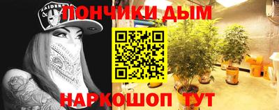 apvp Партизанск